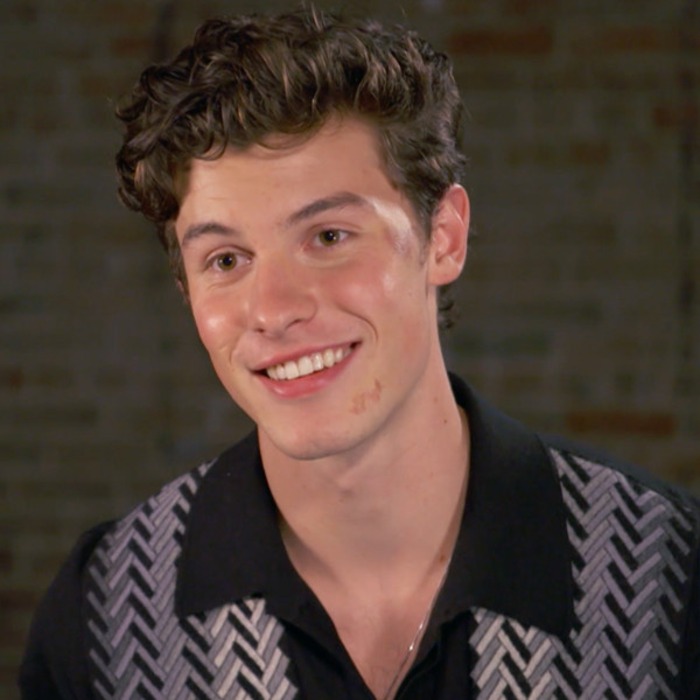 shawn mendes insists it